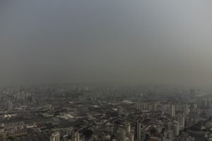 Rua20240909012 1.jpg