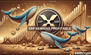 Ripple 1 2 1000x600.webp.webp