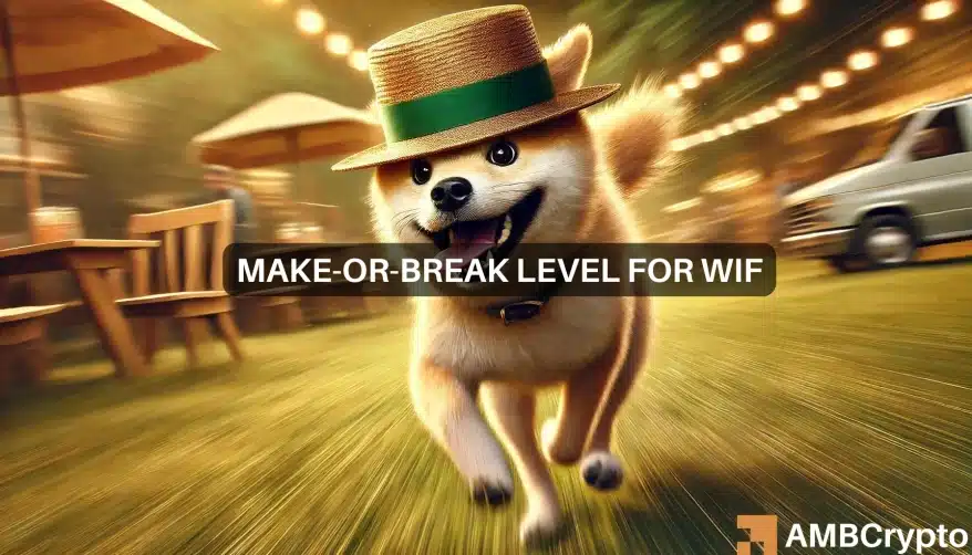 Wif Featured 1.webp.webp