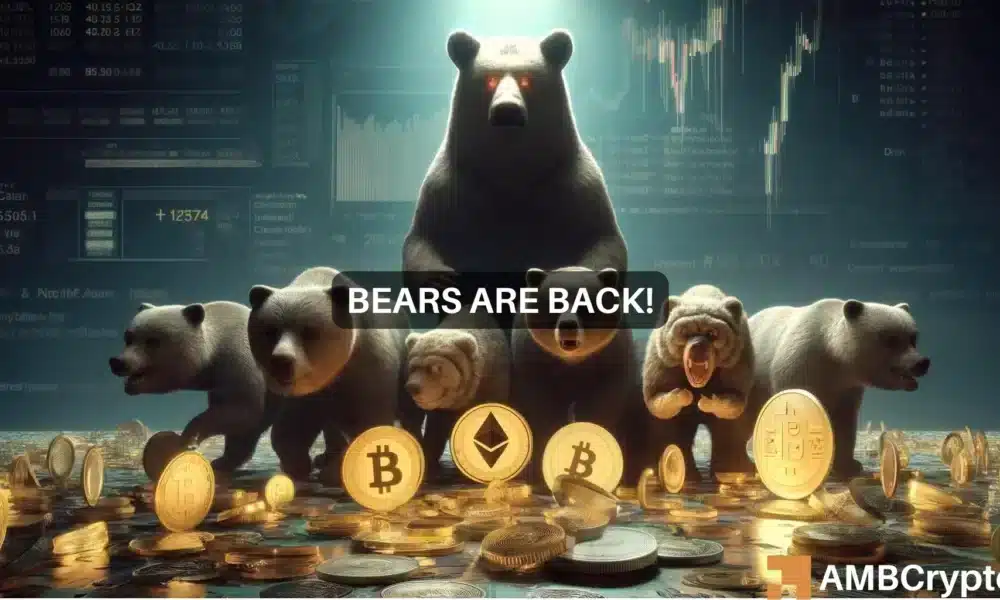 Bears Webp 1000x600.webp.webp