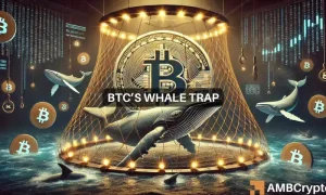 Btc Webp 2 1000x600.webp.webp