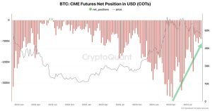 Cme Futures Net Position 1.jpg