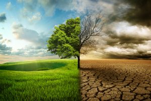 PFDC e ONU discutem mudanças climáticas e direitos indígenas no Brasil