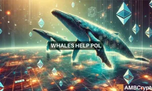 Pol Webp 1 1000x600.webp.webp