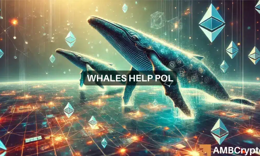 Pol Webp 1 1000x600.webp.webp