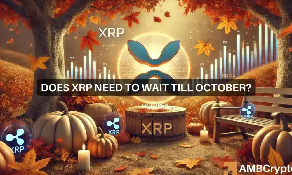 Webp Xrp 1000x600.webp.webp