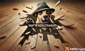 Wif Webp 1 1000x600.webp.webp