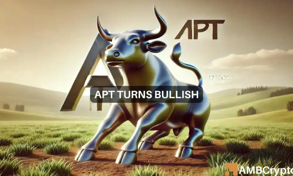 Abdul Apt 1000x600.webp.webp