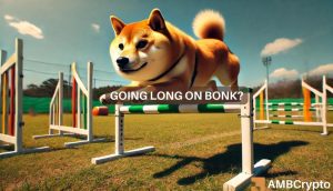 Bonkpriceprediction.jpeg