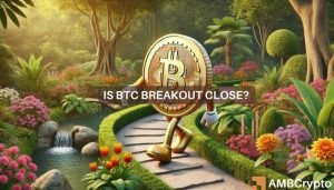 Btcfiii 1.jpeg