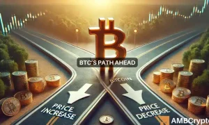 Btcs Path Ahead 1000x600.webp.webp