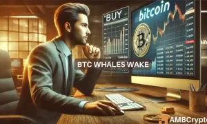 Bitcoin 1 1000x600.webp.webp