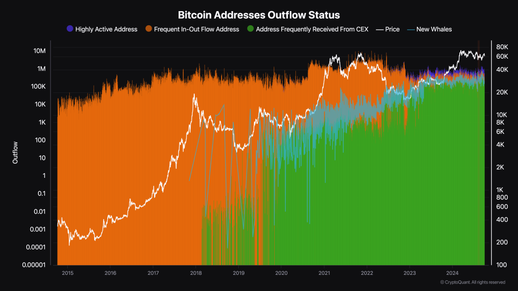 Bitcoin Addresses Outflow Status 2.png