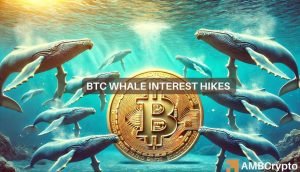 Bitcoin Whales.jpg