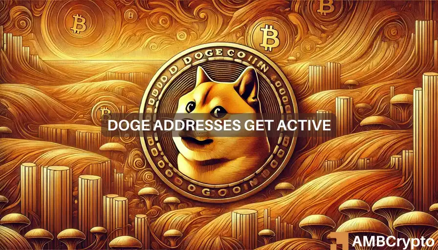 Dogecoin 1 3.webp.webp