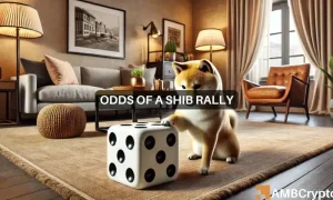 Erastus Shib 2 1000x600.webp.webp