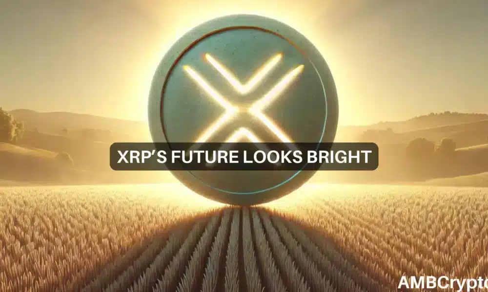 Erastus Xrp 1 1000x600.webp.webp