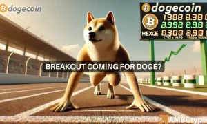 Gladys Doge 1000x600.webp.webp