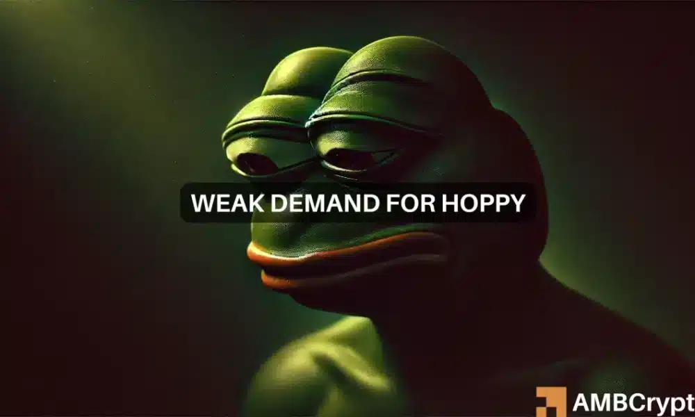 Hoppy Featured 1000x600.webp.webp