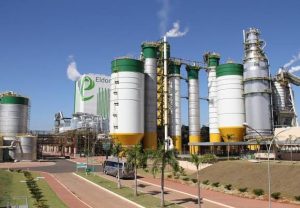 Tribunal arbitral bloqueia ações da Paper Excellence na Eldorado Brasil