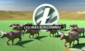 Kelvin Ltc 1000x600.webp.webp