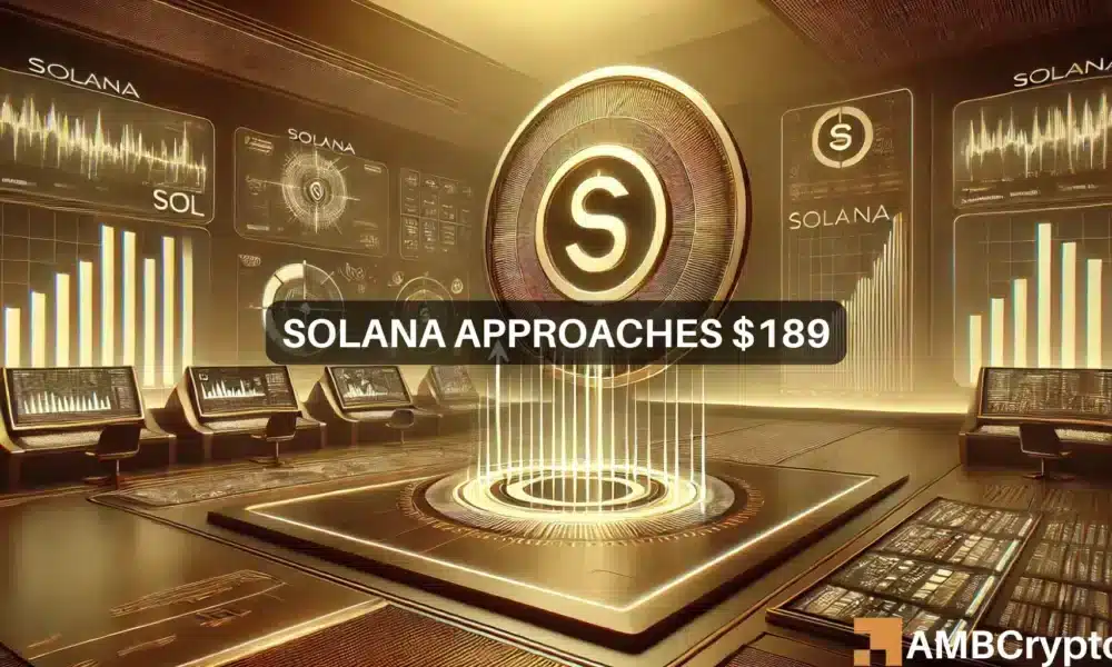Kelvin Sol 2 1000x600.webp.webp