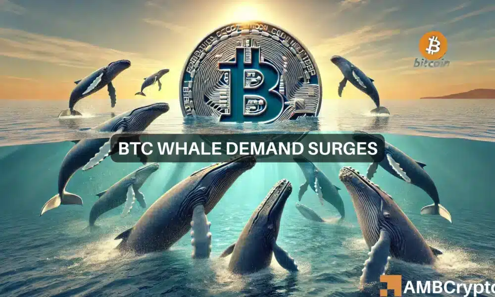 Michael Btc 3 1000x600.webp.webp