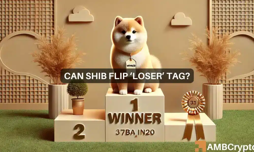 Michael Shib 1 1000x600.webp.webp