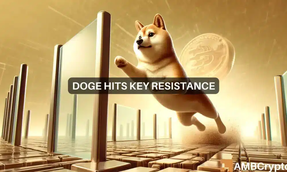 Olivia Doge 1000x600.webp.webp