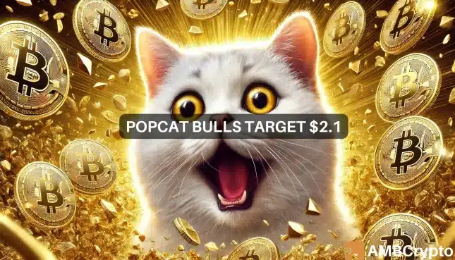 Popcat Featured 2.webp.webp
