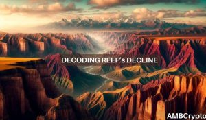 Reef Crypto Fi 1000x583.jpg