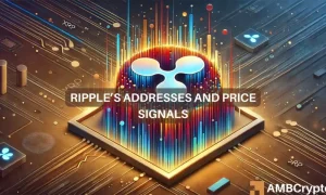 Ripple 1 2 1000x600.webp.webp