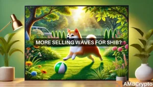 Shiba Inu Featured.webp.webp