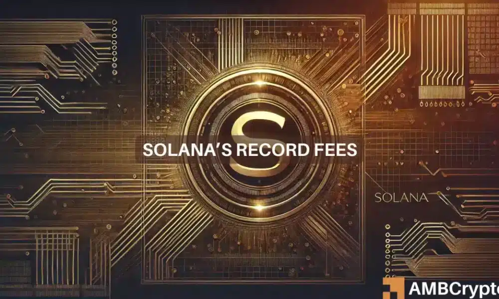 Solana 1 1 1000x600.webp.webp