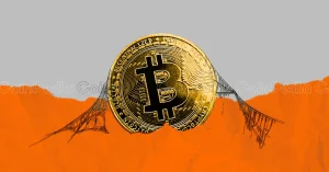 Why Crypto Is Going Up Factors Behind The Bitcoin Bull Run.webp.webp