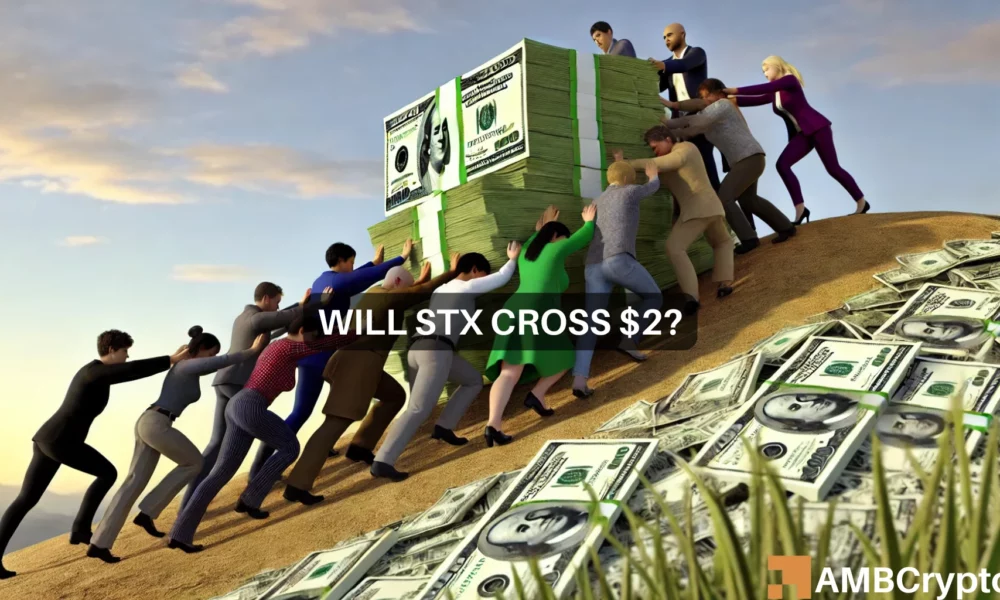 Will Stx Cross 2 1000x600.webp.webp
