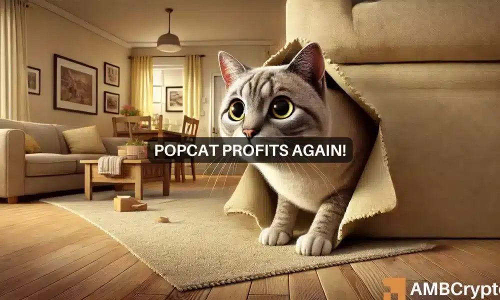 Popcat Webp 1 1000x600.webp.webp