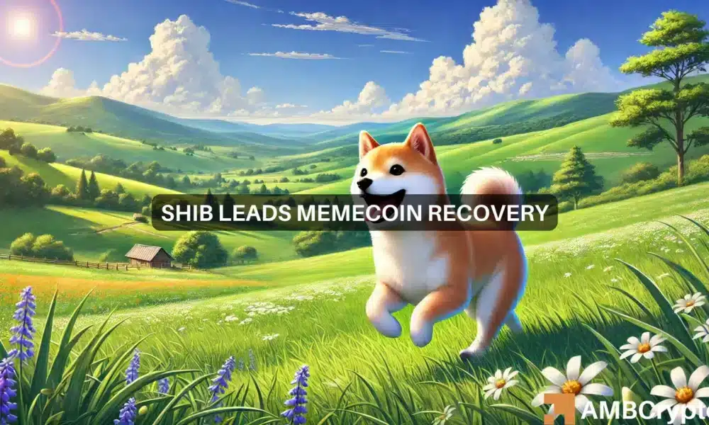 Shib Webp 1000x600.webp.webp