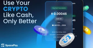 Space Pay.webp.webp