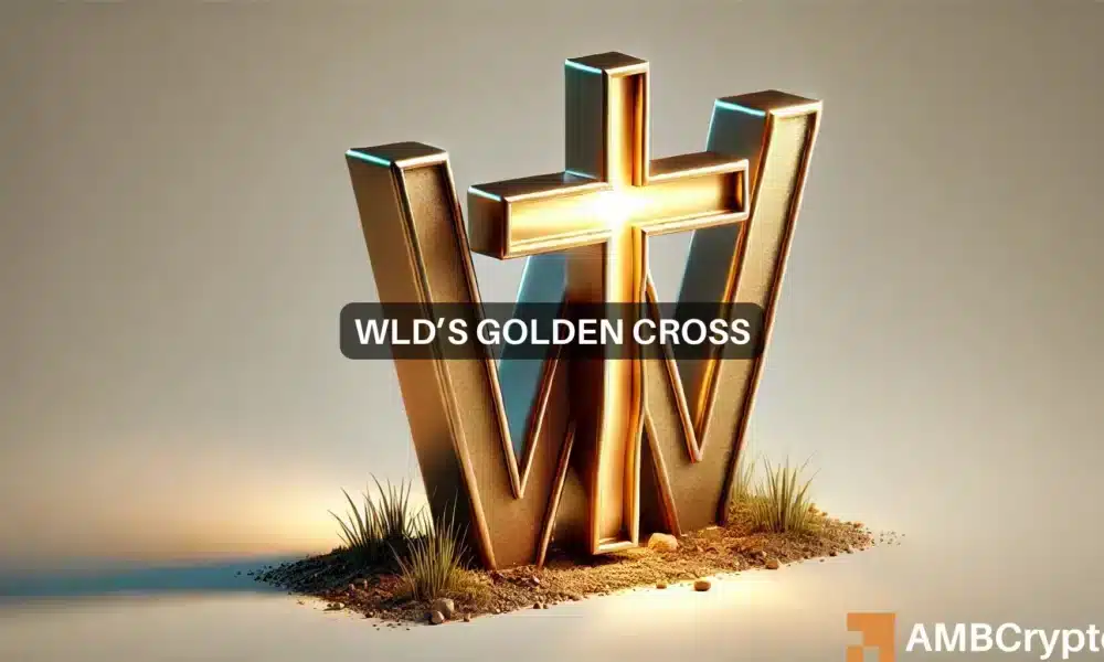 Wld Webp 1000x600.webp.webp