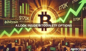 A Look Inside Bitcoin Etf Options 1000x600.webp.webp