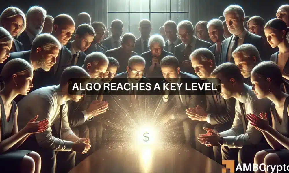 Algo Reaches A Key Level 1000x600.webp.webp
