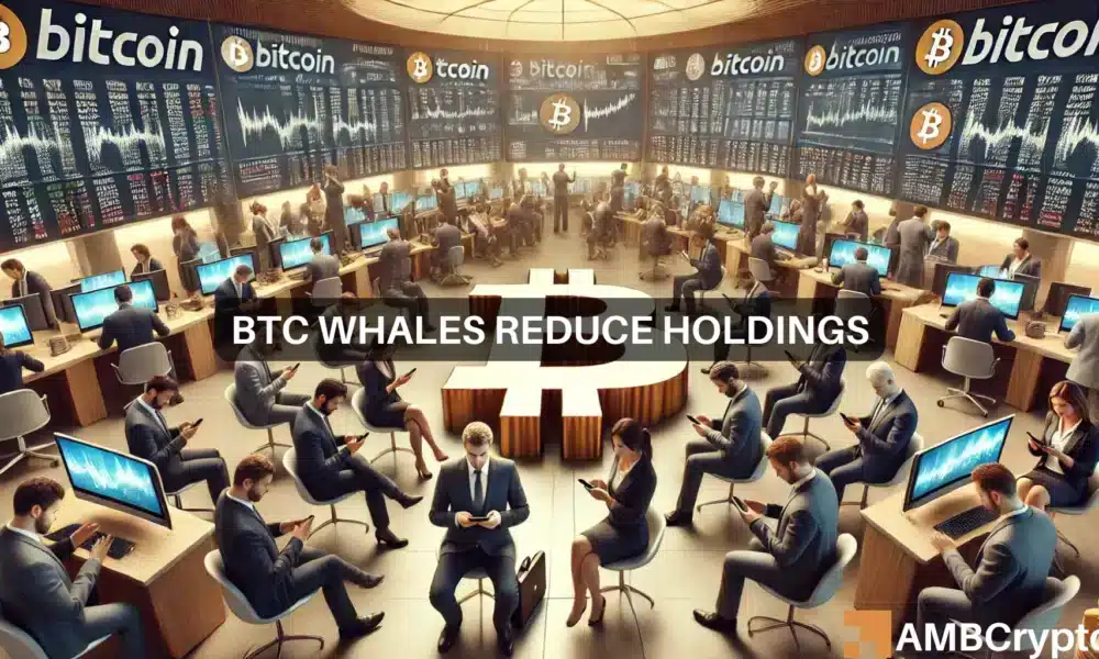 Btc Whales Reduce Holdings 1000x600.webp.webp