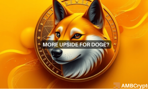 Chandan Doge 1000x600.png