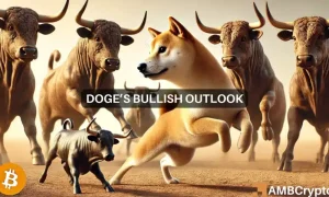 Chandan Doge 1000x600.webp.webp