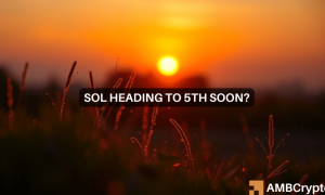 Chandan Sol 2 1000x600.png