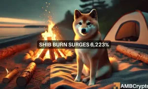 Erastus Shib 1000x600.webp.webp