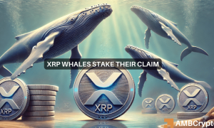 Erastus Xrp 1 1000x600.png