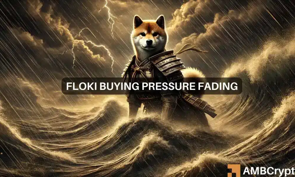 Floki Featured 1000x600.webp.webp