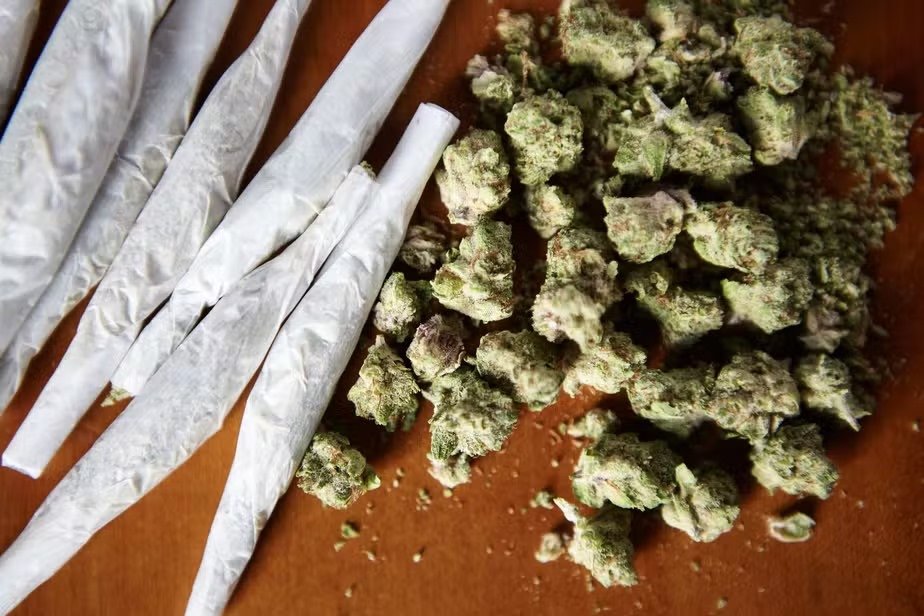 CNJ inicia mutirão para revisar prisões por porte de maconha com base na decisão do STF